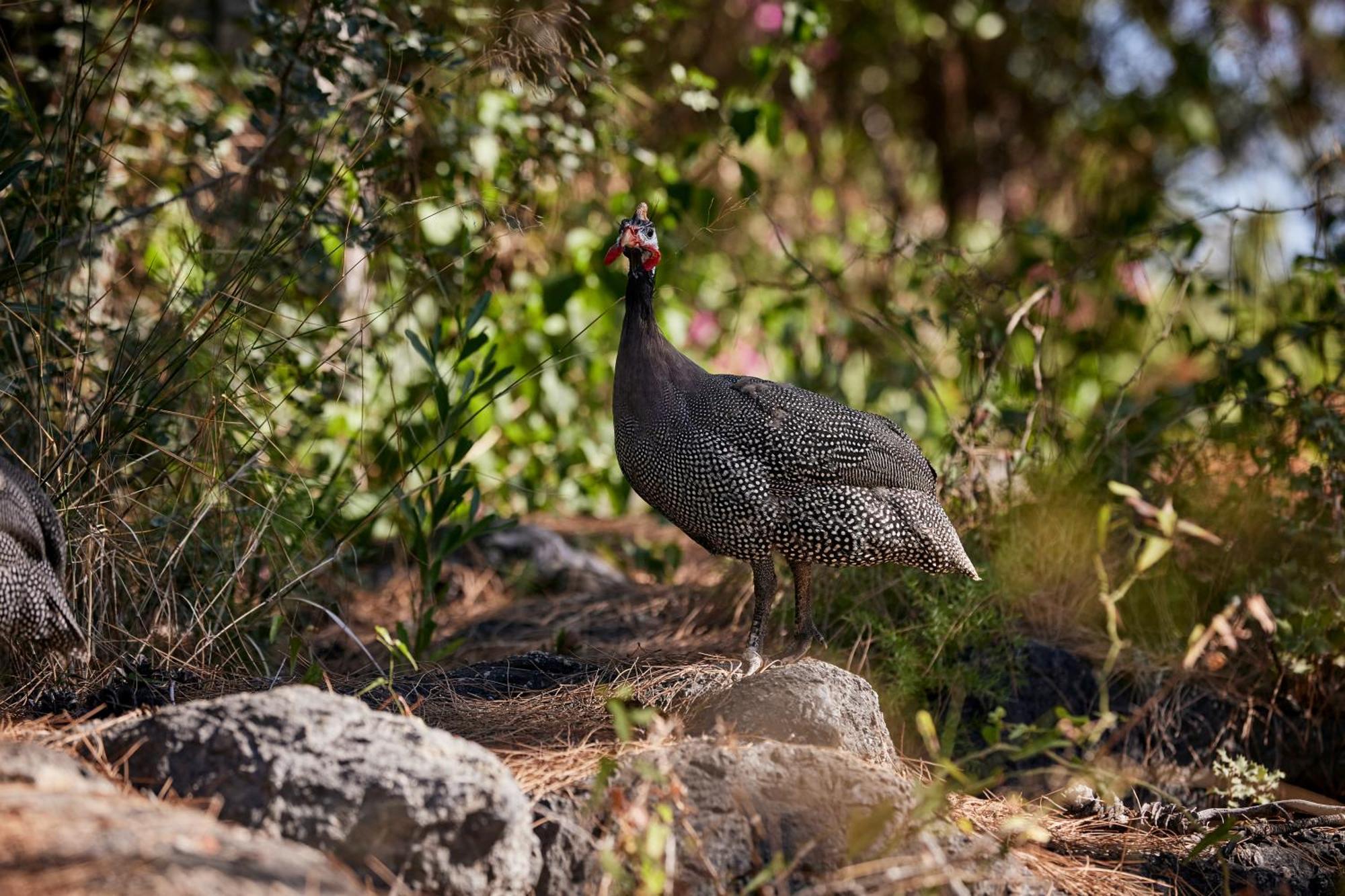 فندق Robinson Sarigerme Park دالامان المظهر الخارجي الصورة